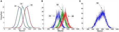 Extracting Summary Statistics of Rapid Numerical Sequences